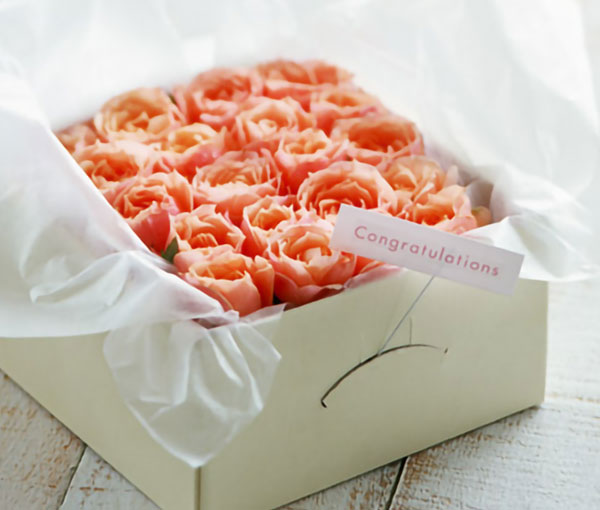 お役立ち素材集